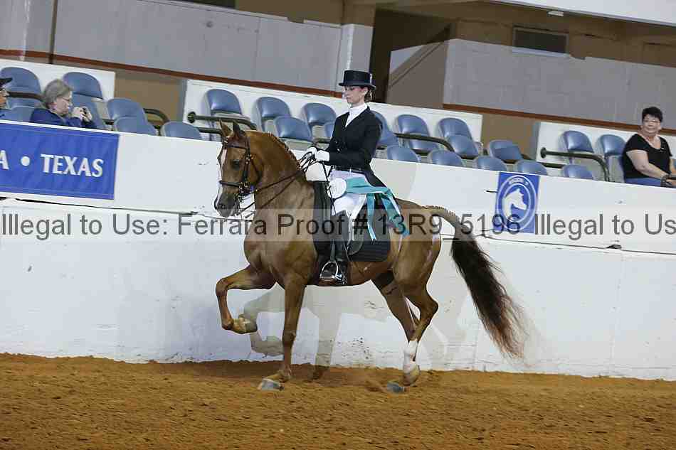Proof 13r9_5196
