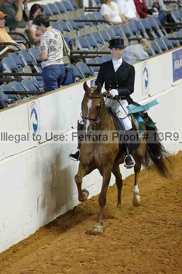 Proof 13r9_5199