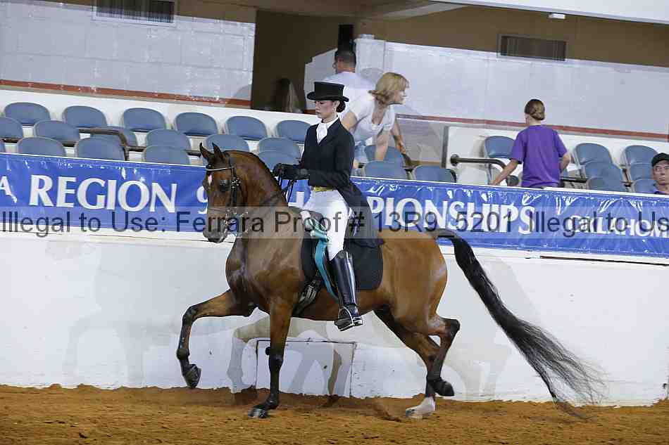 Proof 13r9_5201