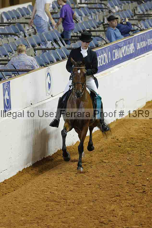Proof 13r9_5203