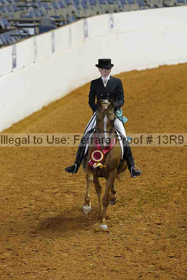 Proof 13r9_5204