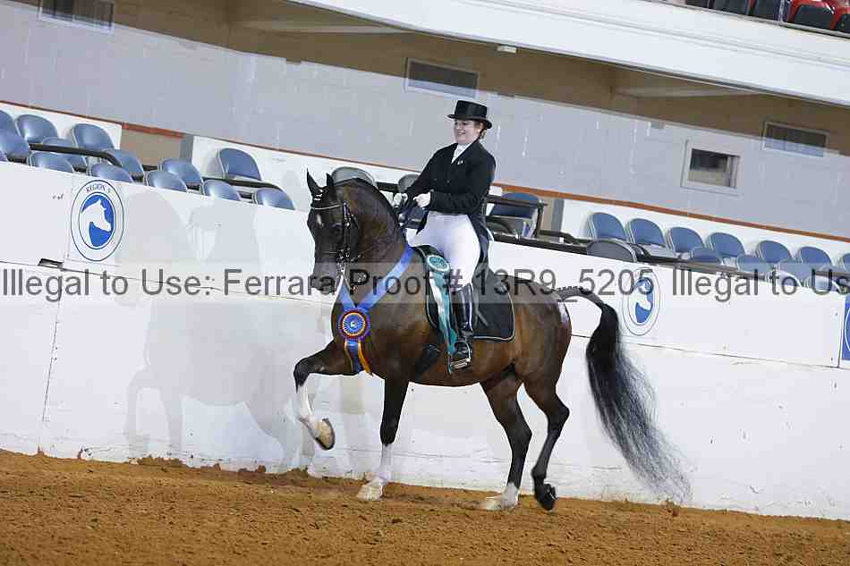 Proof 13r9_5205