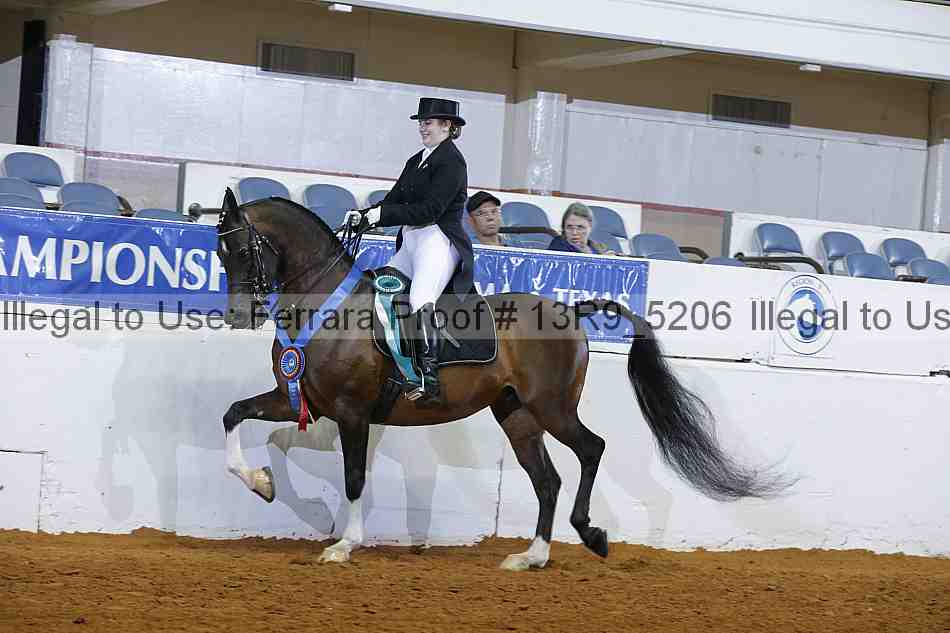 Proof 13r9_5206