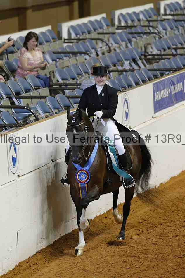 Proof 13r9_5208