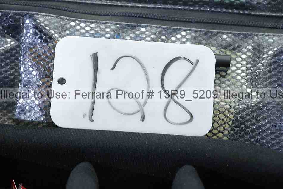 Proof 13r9_5209