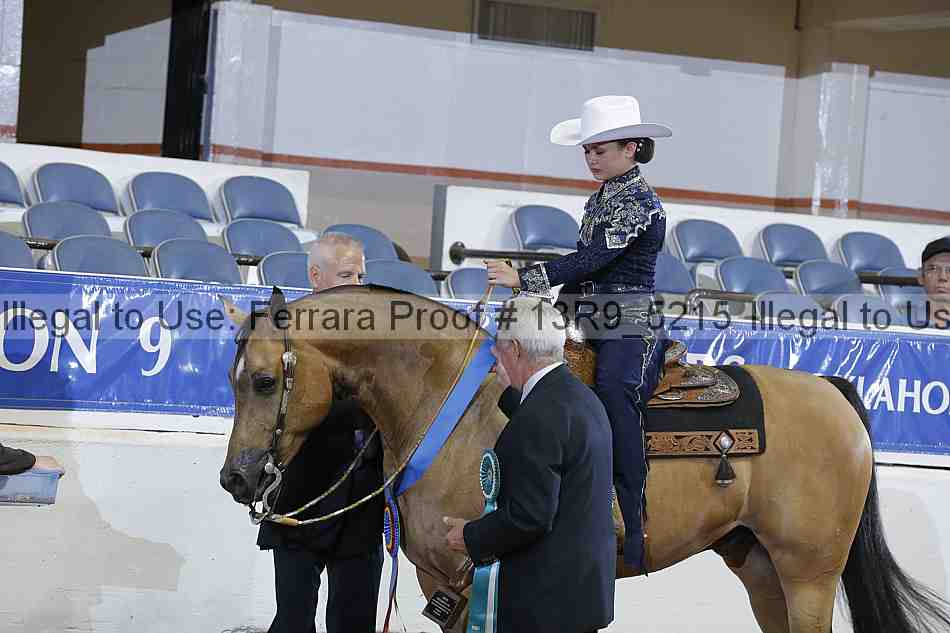 Proof 13r9_5215
