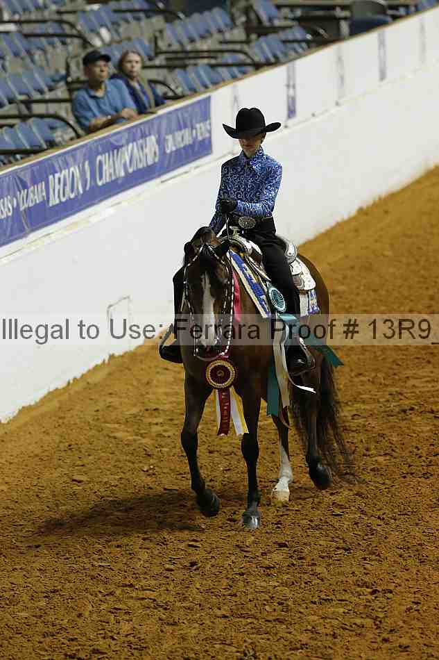 Proof 13r9_5219