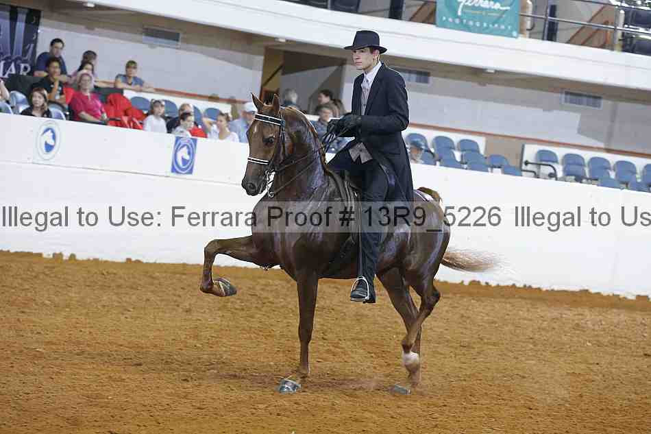 Proof 13r9_5226