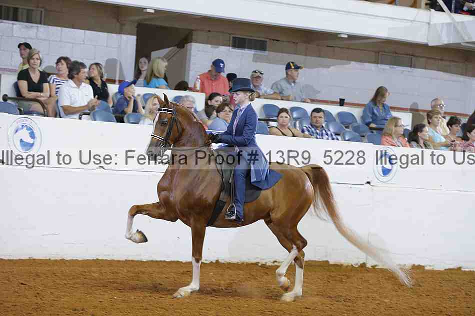 Proof 13r9_5228