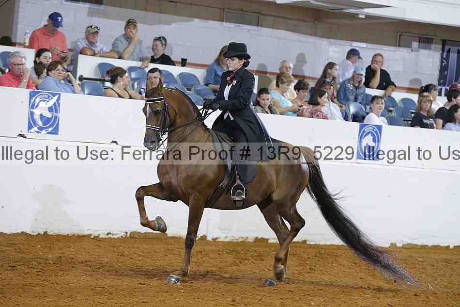 Proof 13r9_5229