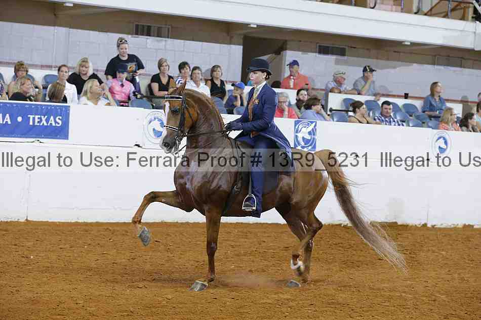 Proof 13r9_5231
