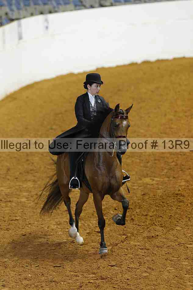Proof 13r9_5232
