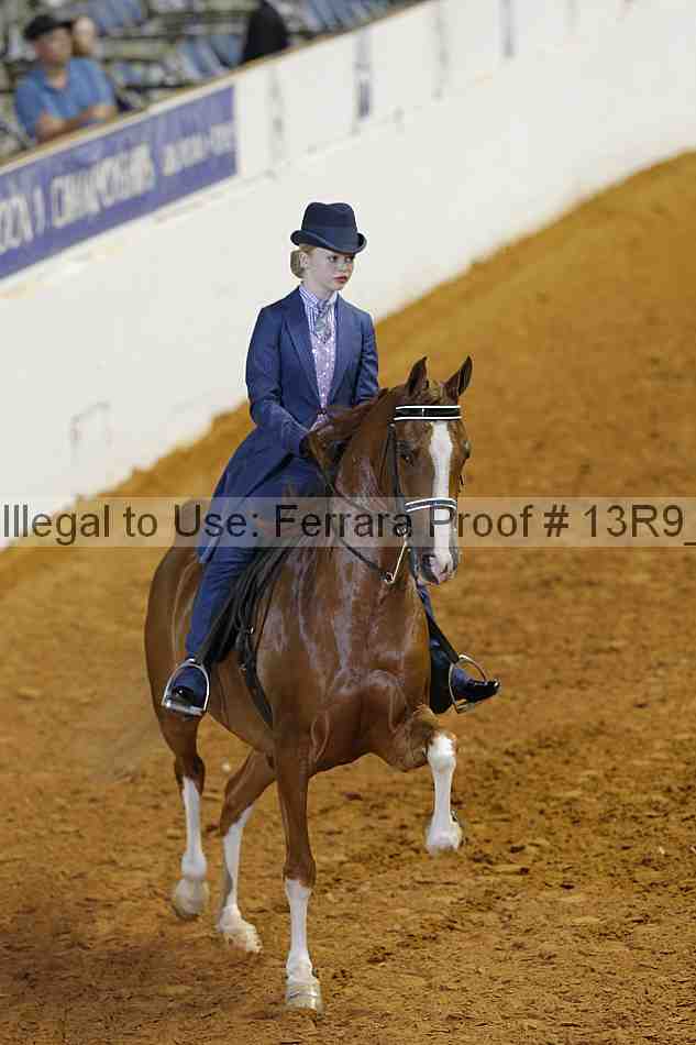Proof 13r9_5236