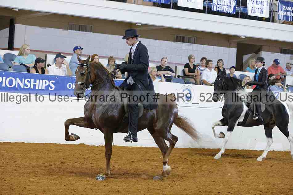 Proof 13r9_5237