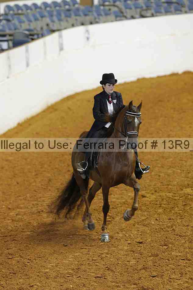Proof 13r9_5238