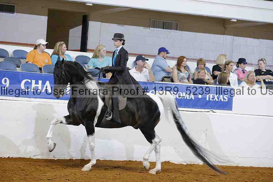 Proof 13r9_5239