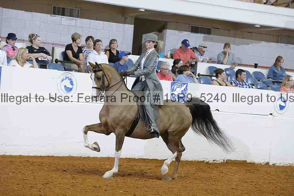 Proof 13r9_5240