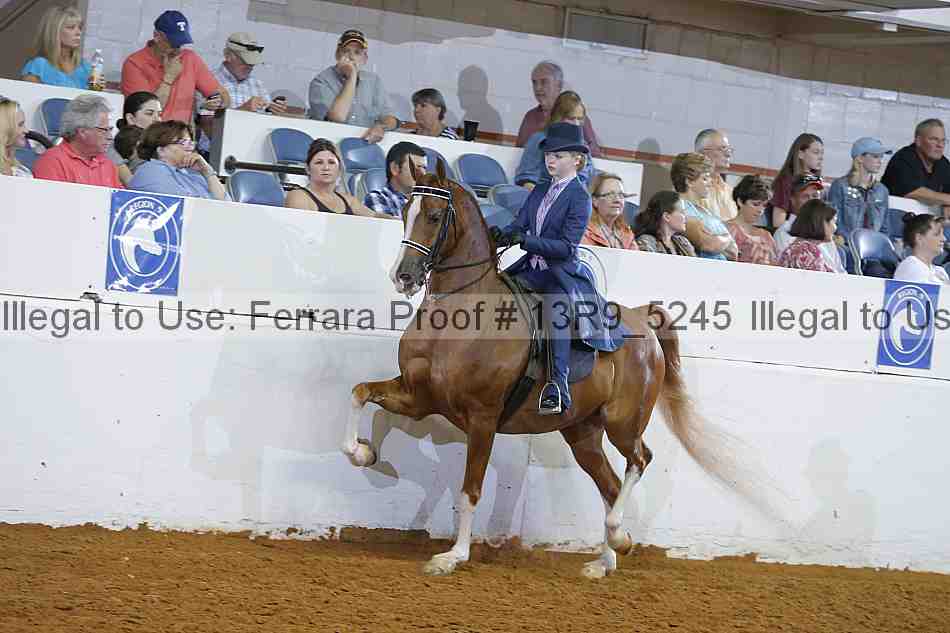 Proof 13r9_5245