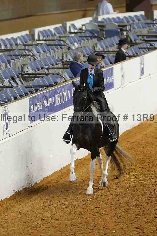 Proof 13r9_5248