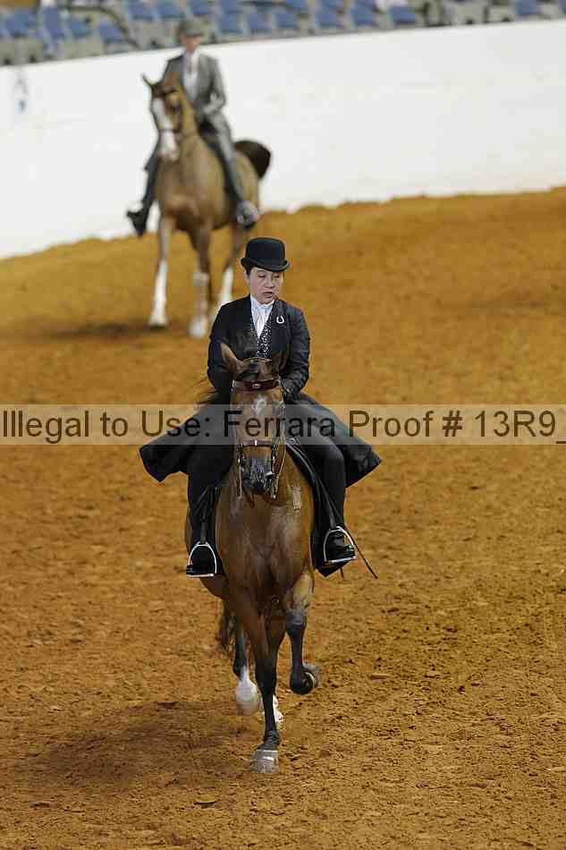 Proof 13r9_5250