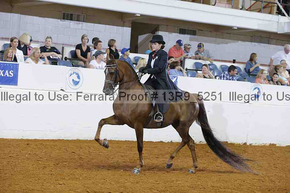 Proof 13r9_5251
