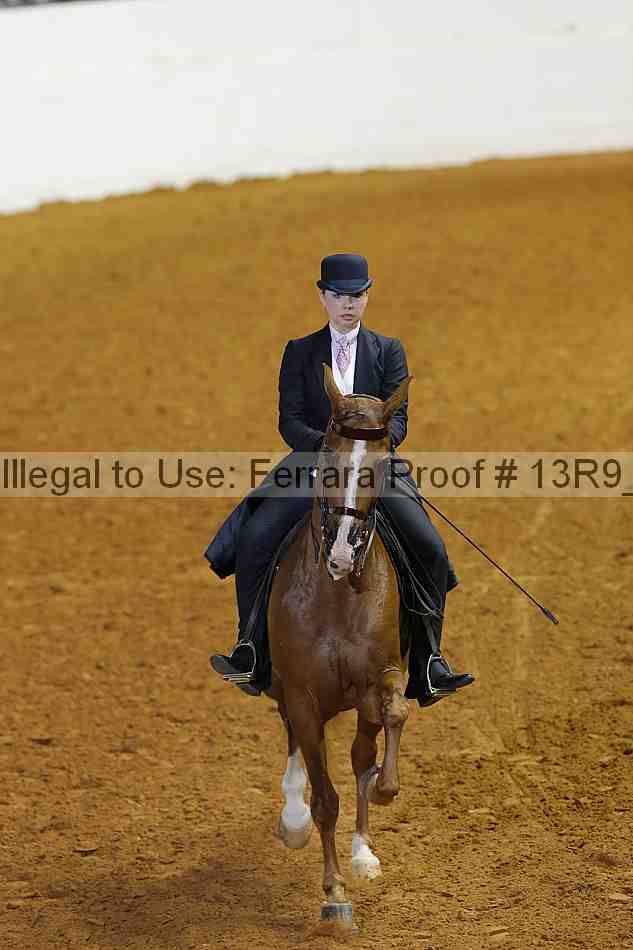 Proof 13r9_5255