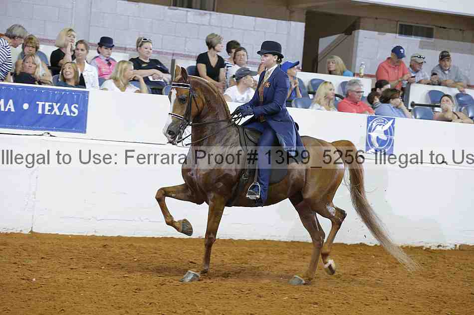 Proof 13r9_5256