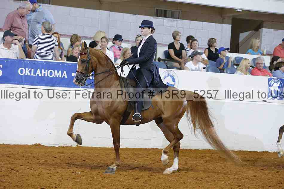 Proof 13r9_5257