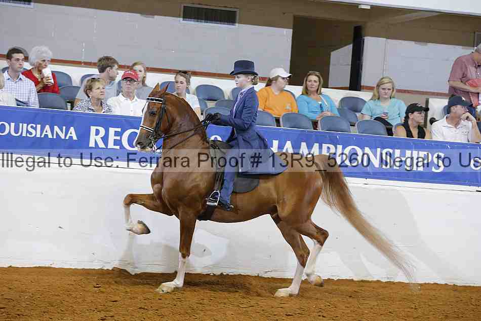 Proof 13r9_5260