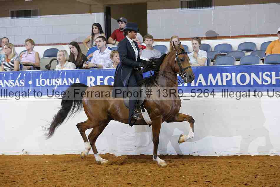 Proof 13r9_5264