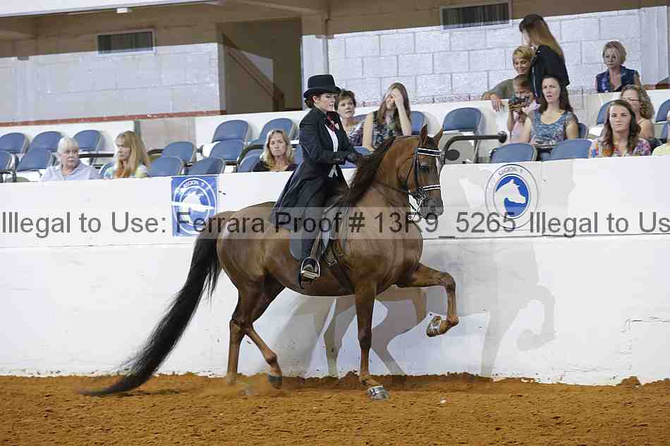 Proof 13r9_5265