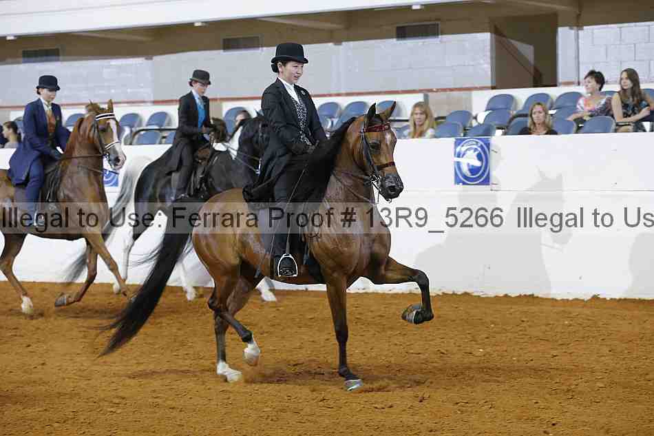 Proof 13r9_5266