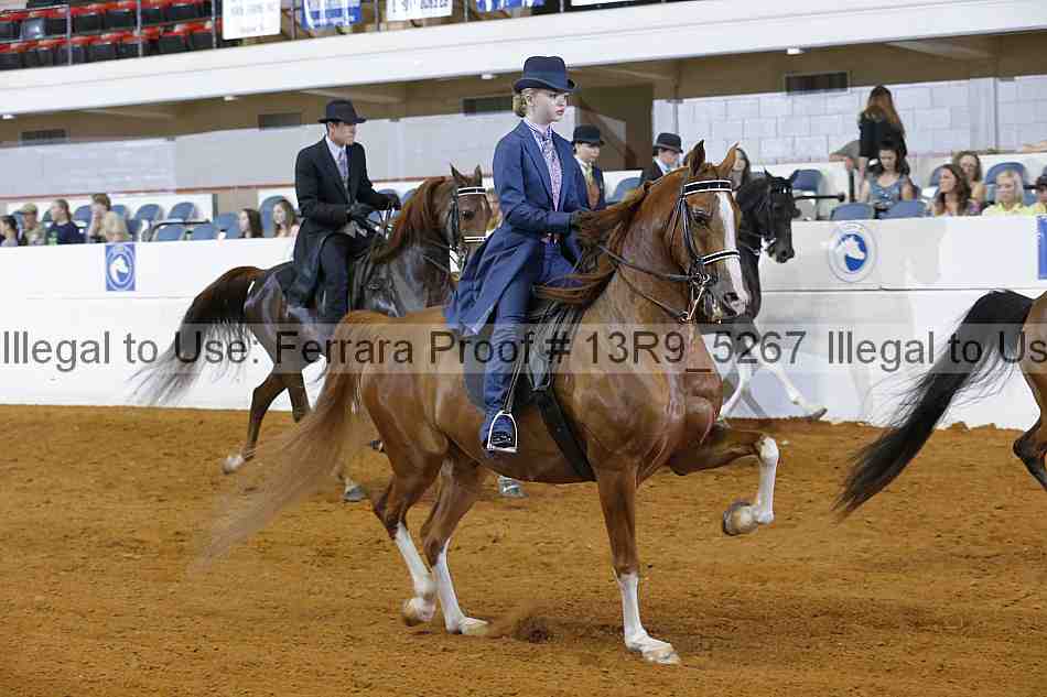 Proof 13r9_5267