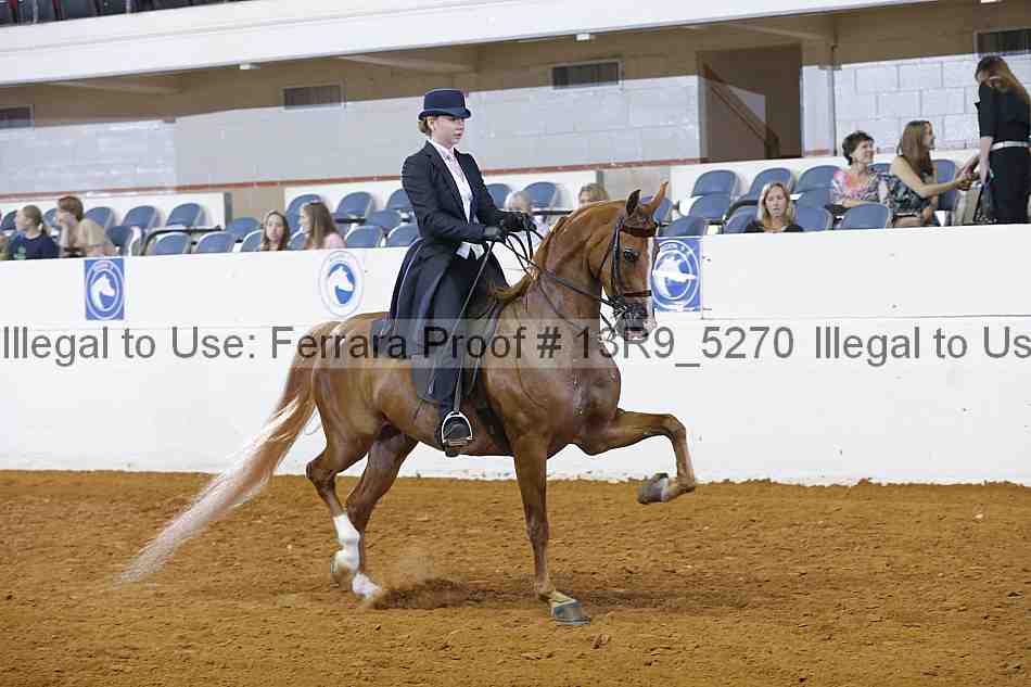 Proof 13r9_5270