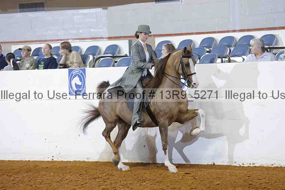 Proof 13r9_5271