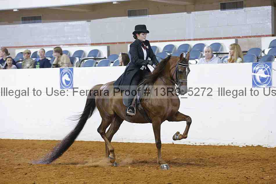 Proof 13r9_5272