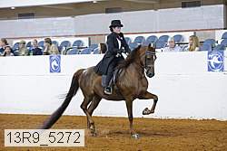 13r9_5272 proof