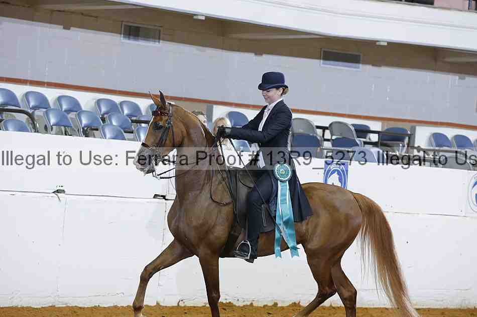 Proof 13r9_5273