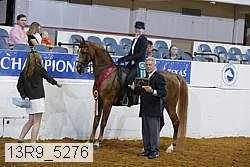 13r9_5276 proof