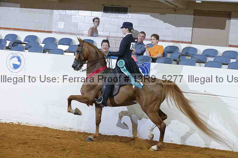 Proof 13r9_5277