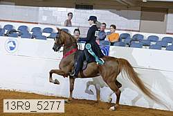 13r9_5277 proof