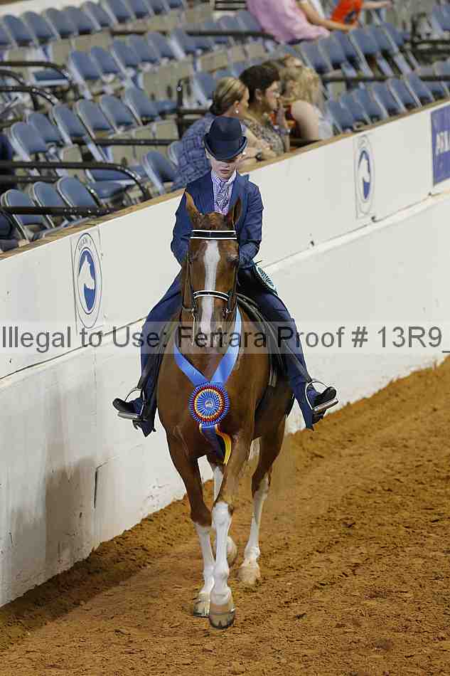 Proof 13r9_5286