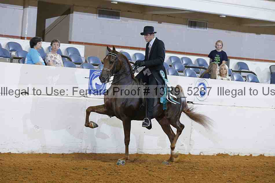 Proof 13r9_5287