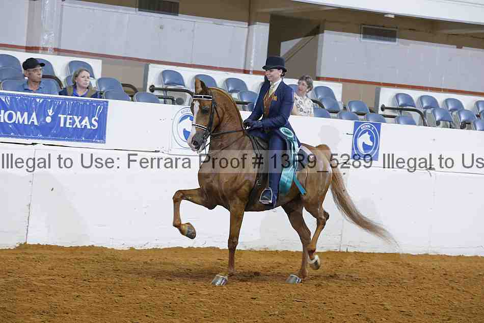 Proof 13r9_5289