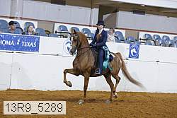 13r9_5289 proof