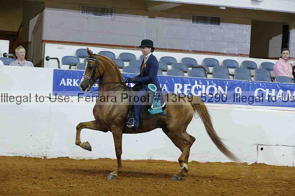 Proof 13r9_5290