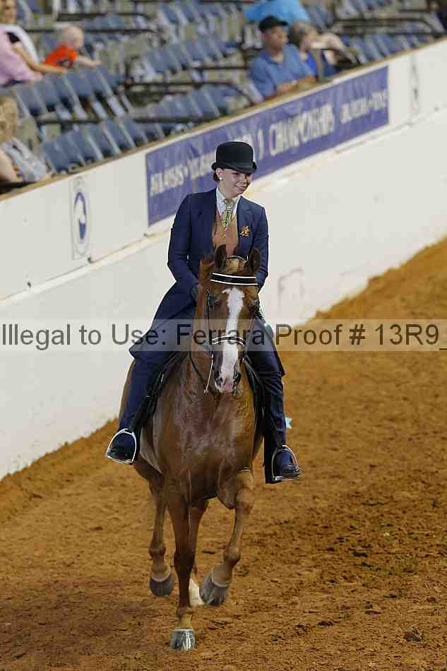 Proof 13r9_5294