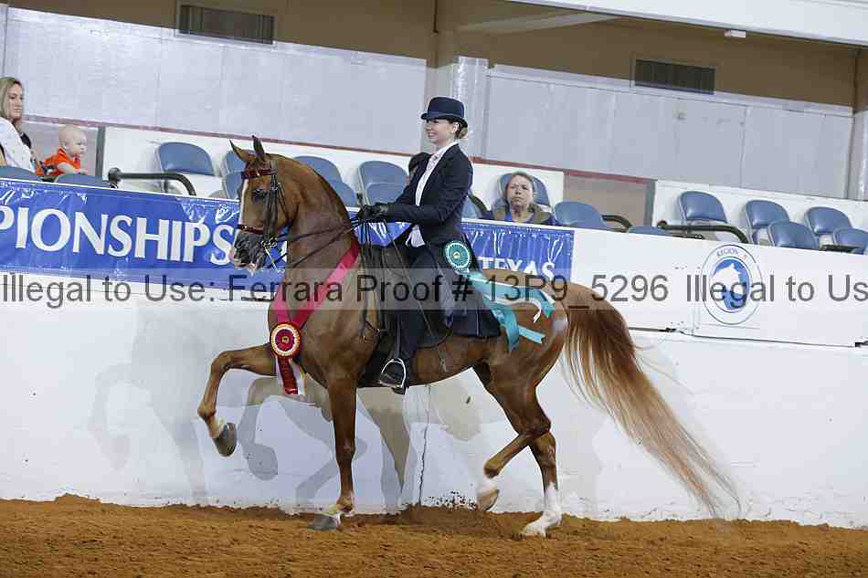 Proof 13r9_5296