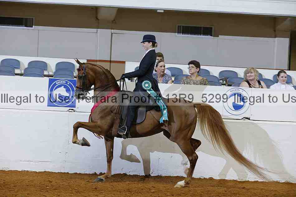Proof 13r9_5299
