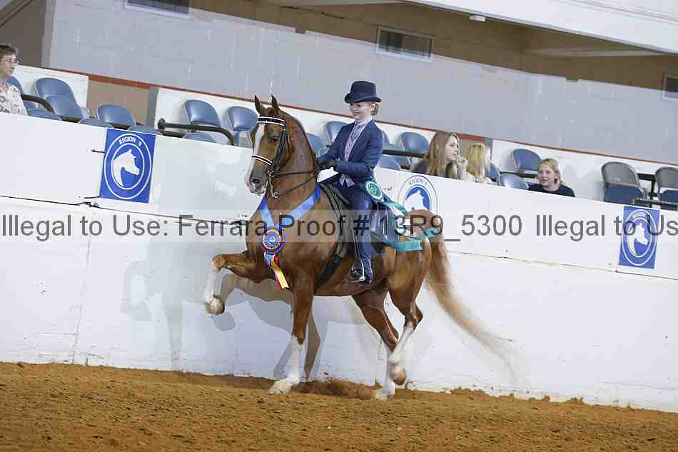 Proof 13r9_5300